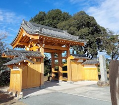 �������R��