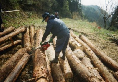 �ޗ����̕��i