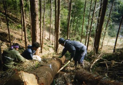 �؍ސ؂�o�����i